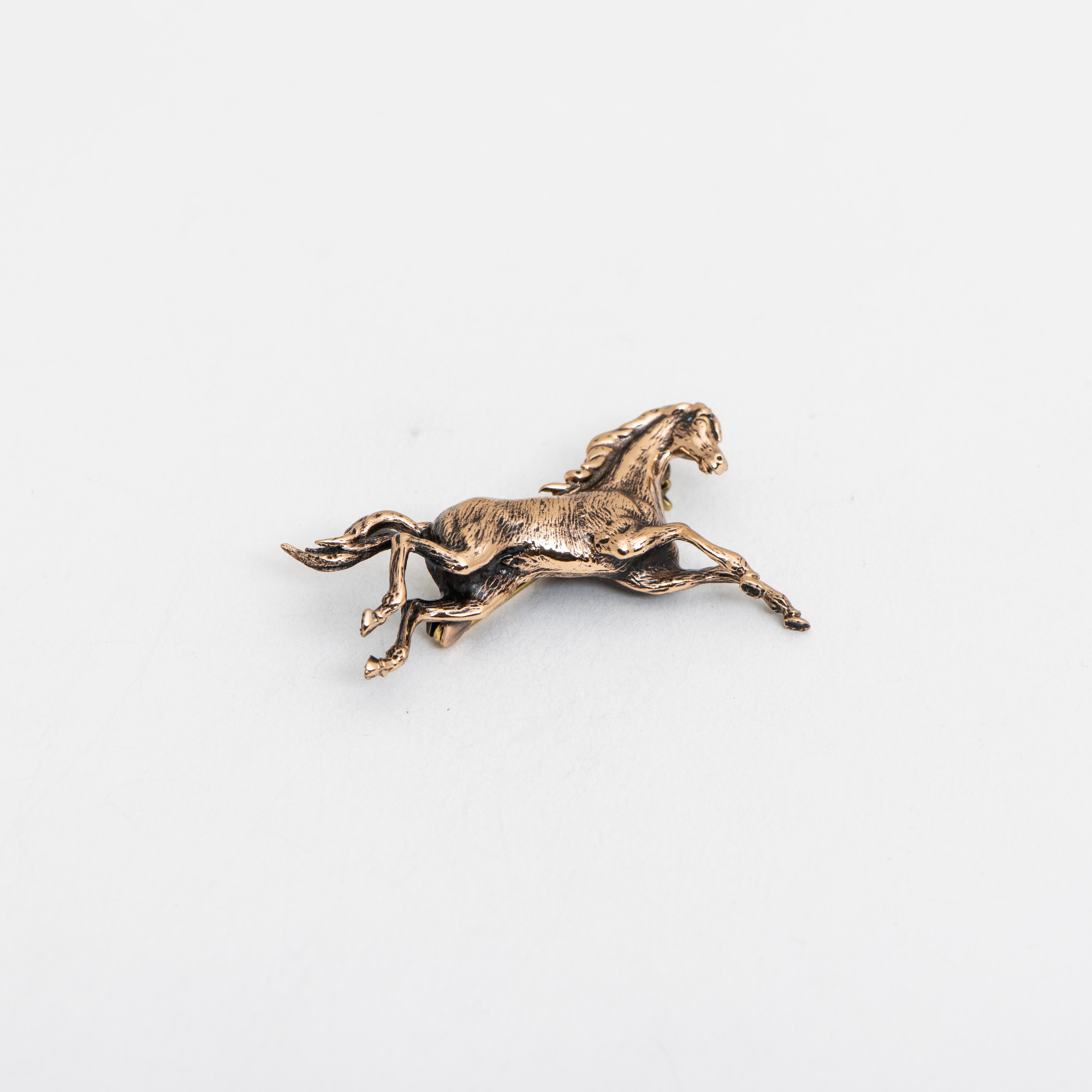 Broche Wild Horse