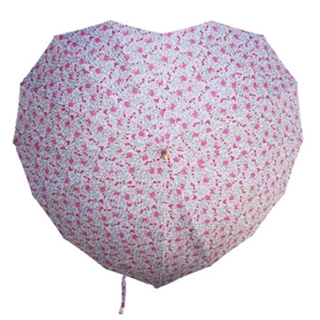 Paraplu in Hartvorm
