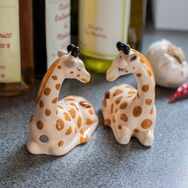 Snoezende Giraffes