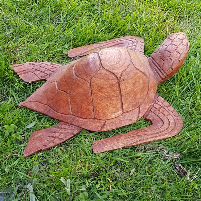 Houten Sculptuur Schildpad