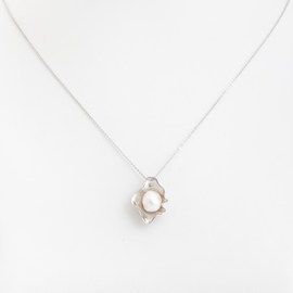 Art Nouveau Collier Secret