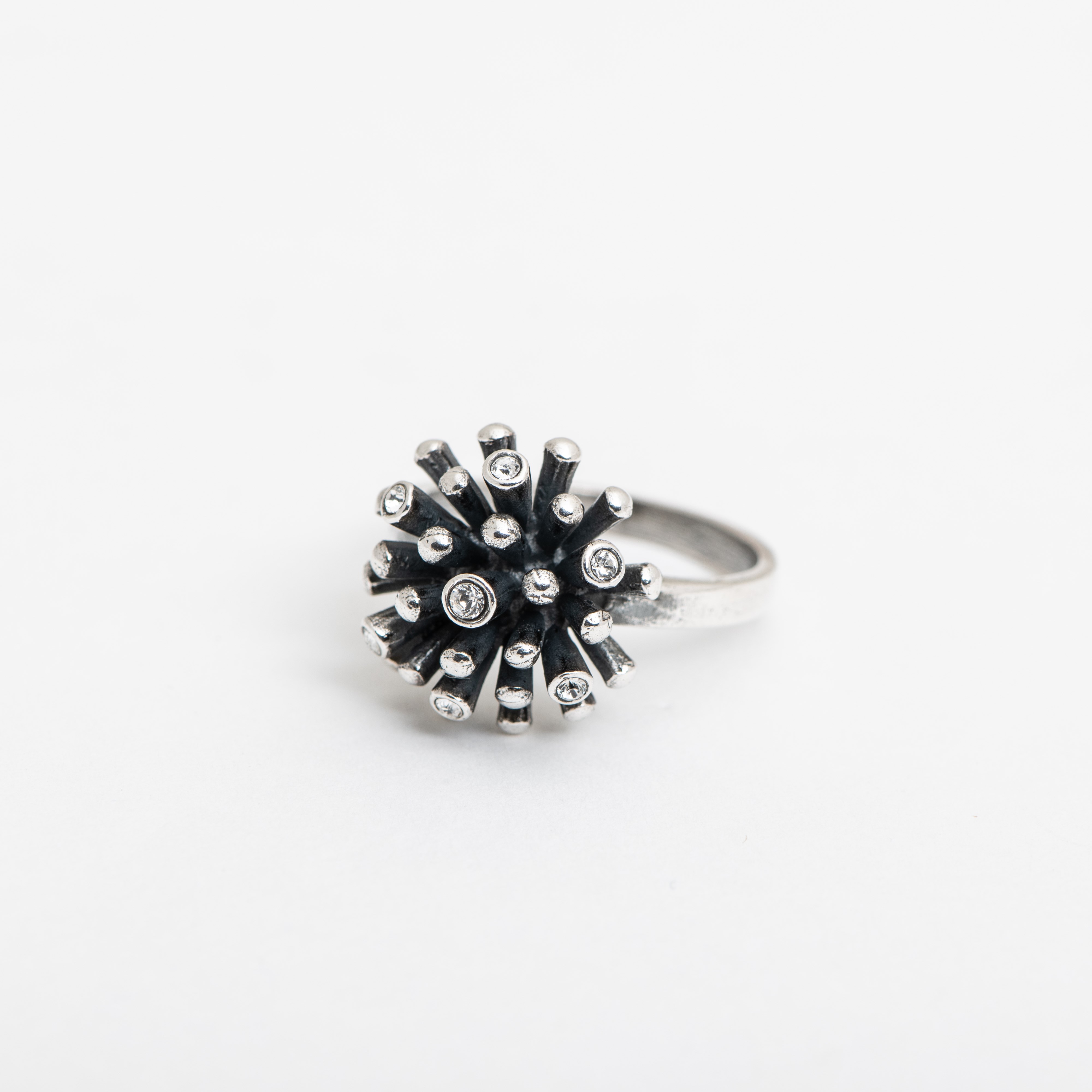 Ring Wens